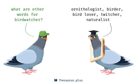 bird watching synonym|other words for birdwatcher.